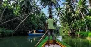 Mangrove boardwalk. Honnavar beach.