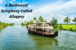 A Backwater Symphony Called Alleppey